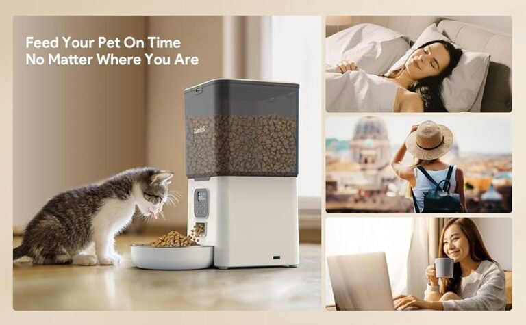 Cat Dog Automatic Feeder dispensing dry food into a white bowl with a kitten eating next to it